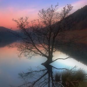 Meet your Posher, Patsy